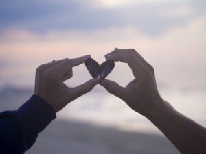 A Journey Through How the Heart Develops Before Birth in the Womb