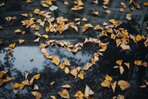 Not Every Wounded Heart Needs to Be Fixed—Some Just Want to Be Heard