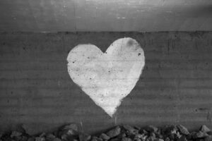 The Connection Between Heart Health and Mental Health A Comprehensive Review